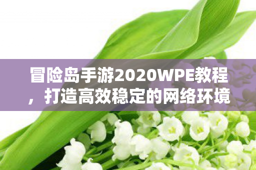 冒险岛手游2020WPE教程图片