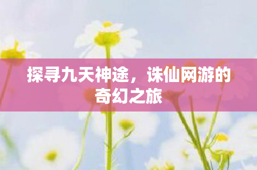 诛仙网游的奇幻之旅图片