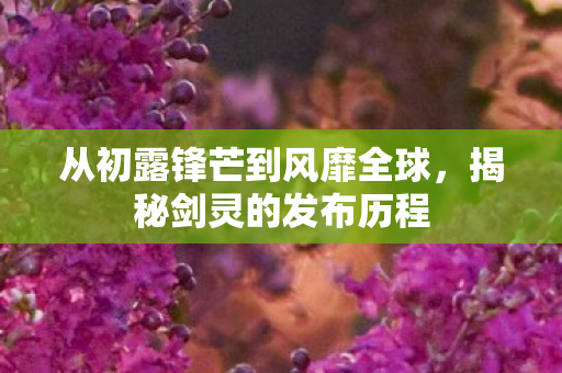 从初露锋芒到风靡全球图片