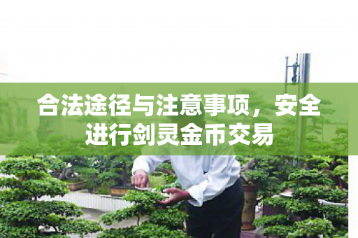 安全进行剑灵金币交易图片