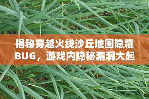 揭秘穿越火线沙丘地图隐藏BUG图片