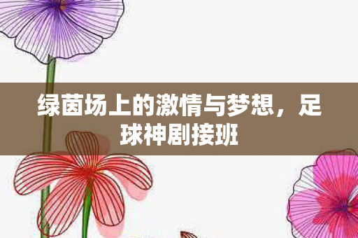 绿茵场上的激情与梦想图片