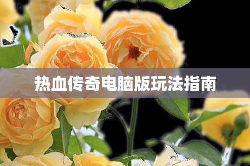 热血传奇电脑版玩法指南图片
