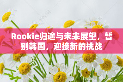 Rookie归途与未来展望图片
