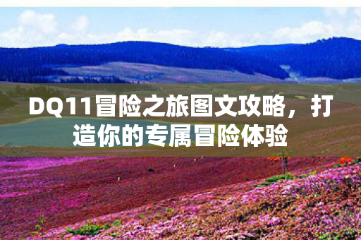 DQ11冒险之旅图文攻略图片