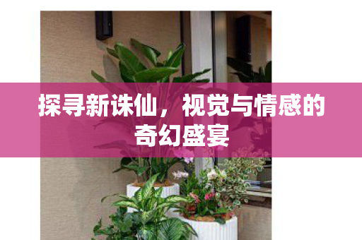 视觉与情感的奇幻盛宴图片
