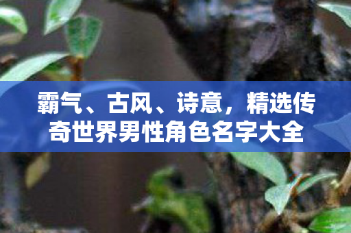 精选传奇世界男性角色名字大全图片