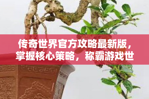 传奇世界官方攻略最新版图片