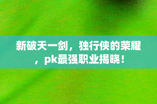 pk最强职业揭晓图片