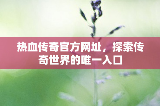 探索传奇世界的唯一入口图片