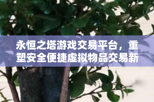 重塑安全便捷虚拟物品交易新时代图片