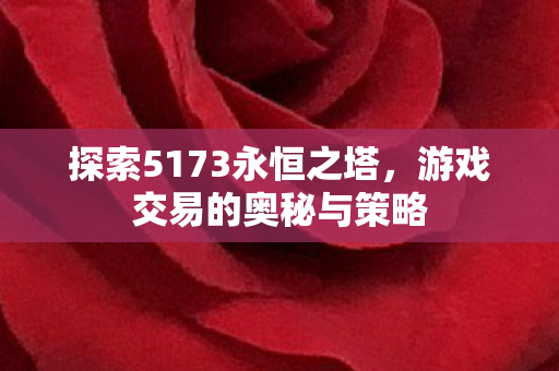 探索5173永恒之塔图片