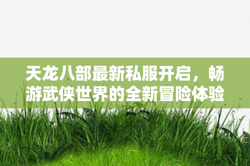 畅游武侠世界的全新冒险体验图片