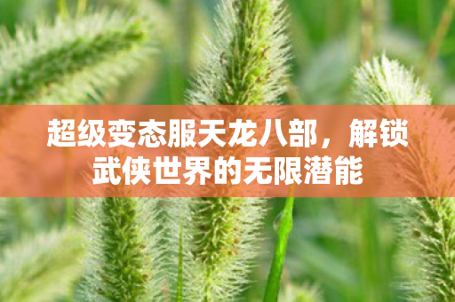 解锁武侠世界的无限潜能图片