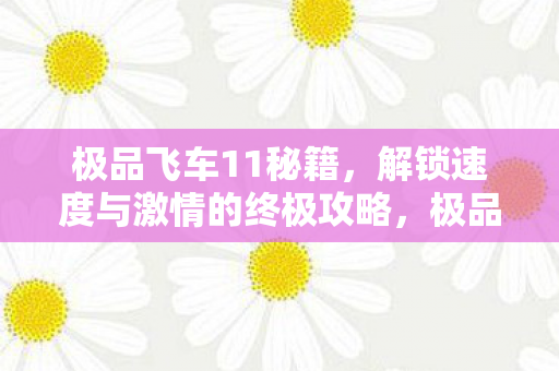 解锁速度与激情的终极攻略图片