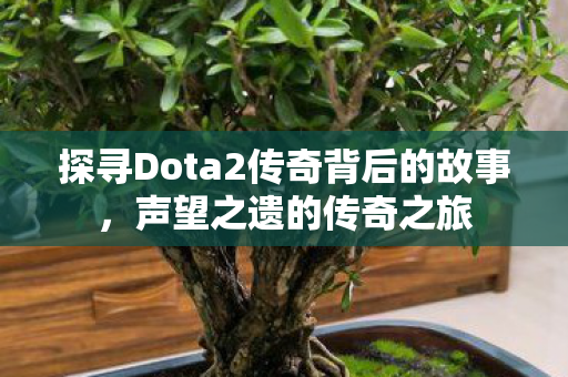 探寻Dota2传奇背后的故事图片