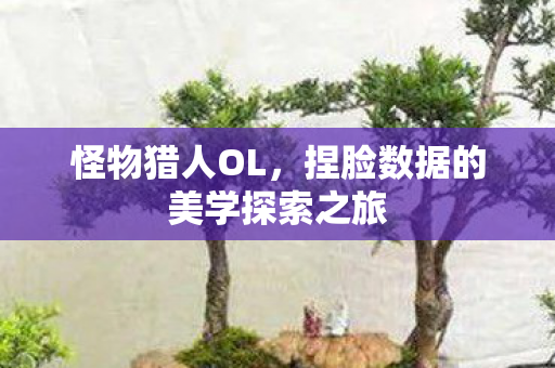 捏脸数据的美学探索之旅图片