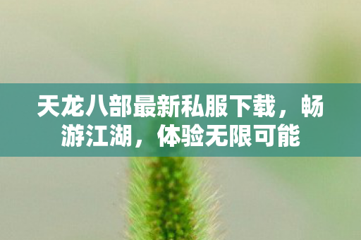 天龙八部最新私服下载图片