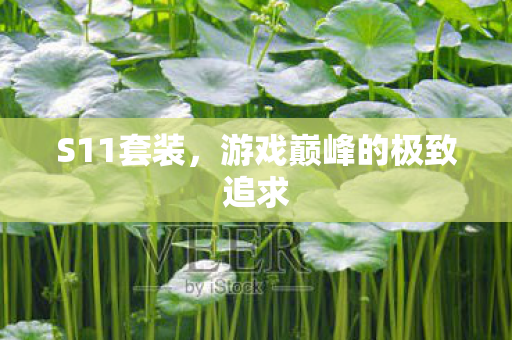 游戏巅峰的极致追求图片