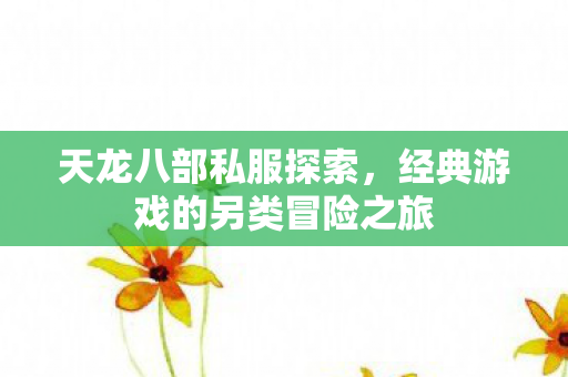 经典游戏的另类冒险之旅图片