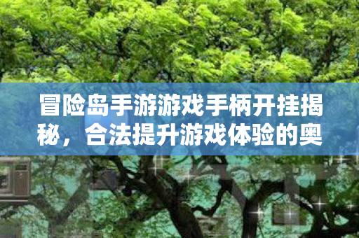 冒险岛手游游戏手柄开挂揭秘图片