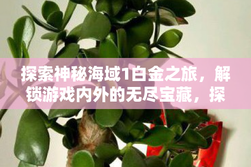探索神秘海域1白金之旅图片