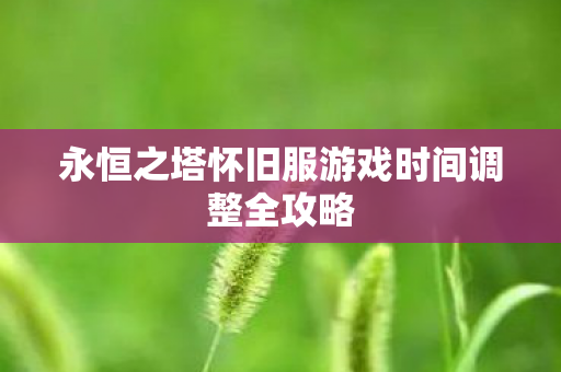 永恒之塔怀旧服游戏时间调整全攻略图片