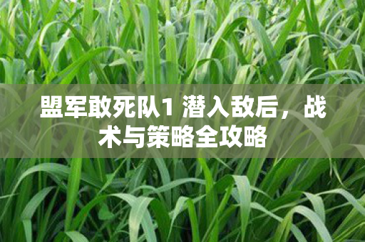 盟军敢死队1 潜入敌后图片