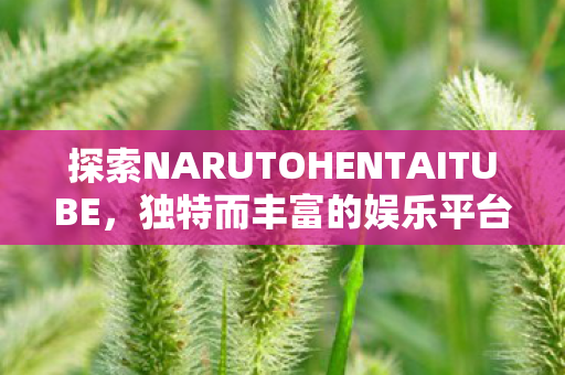 探索NARUTOHENTAITUBE图片