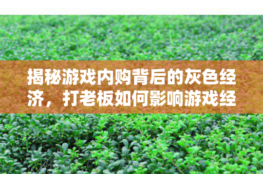 揭秘游戏内购背后的灰色经济图片