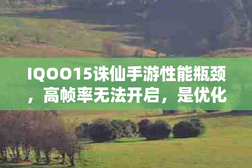IQOO15诛仙手游性能瓶颈图片