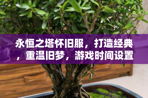 游戏时间设置揭秘图片