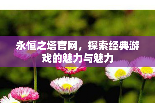 探索经典游戏的魅力与魅力图片