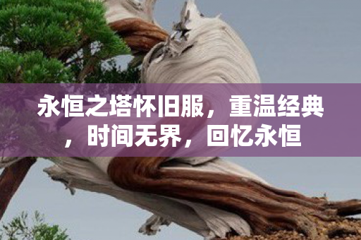 永恒之塔怀旧服图片
