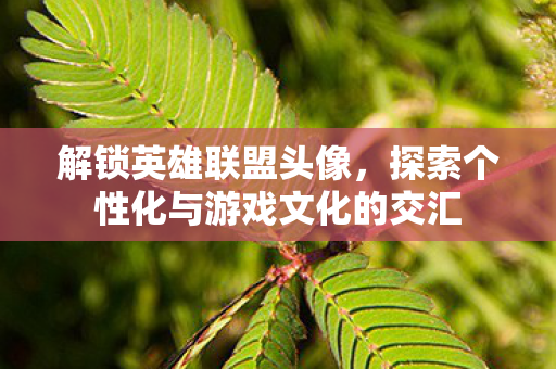 探索个性化与游戏文化的交汇图片