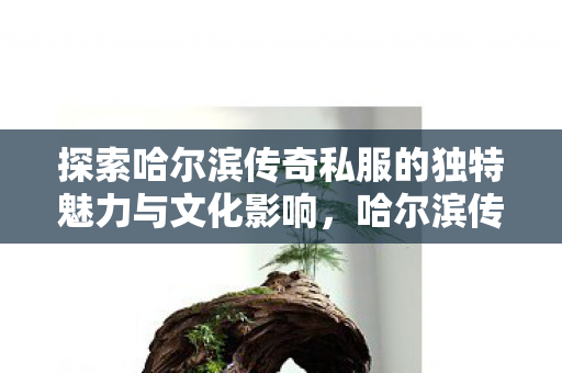探索哈尔滨传奇私服的独特魅力与文化影响图片