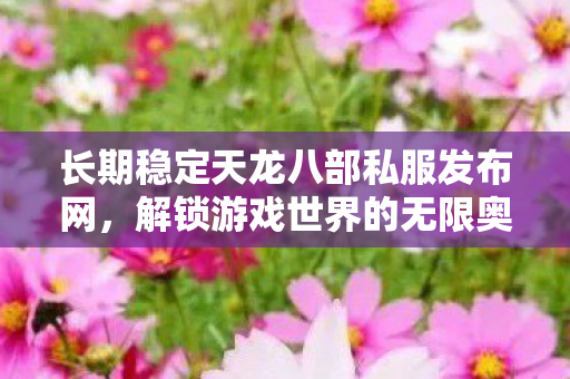 长期稳定天龙八部私服发布网图片