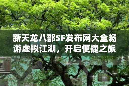 新天龙八部SF发布网大全畅游虚拟江湖图片