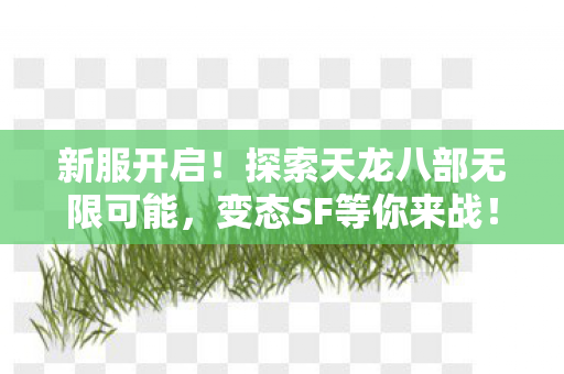 探索天龙八部无限可能图片