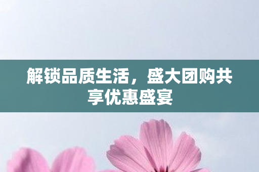 盛大团购共享优惠盛宴图片