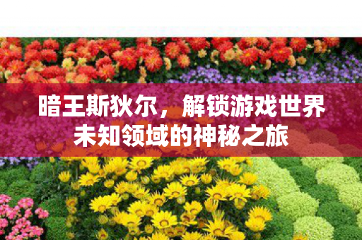 解锁游戏世界未知领域的神秘之旅图片