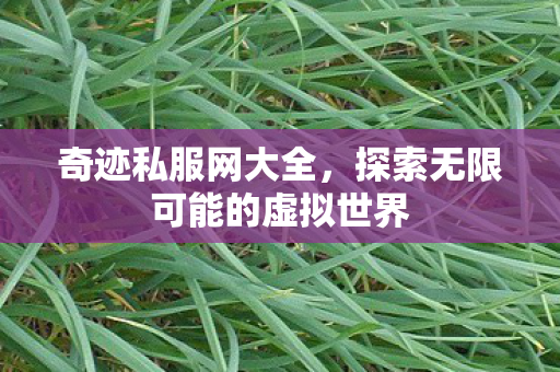 探索无限可能的虚拟世界图片