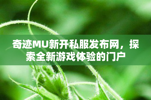 奇迹MU新开私服发布网,探索全新游戏体验的门户 奇迹MU新开私服发布网,探索全新游戏体验的门户