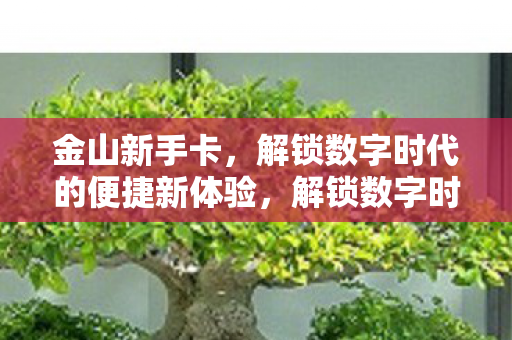 解锁数字时代的便捷新体验图片