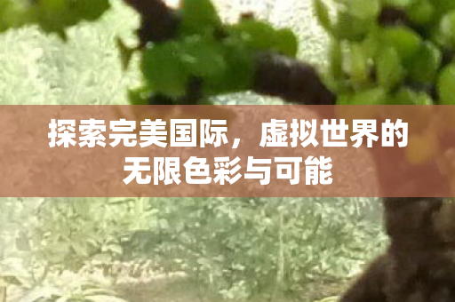 虚拟世界的无限色彩与可能图片