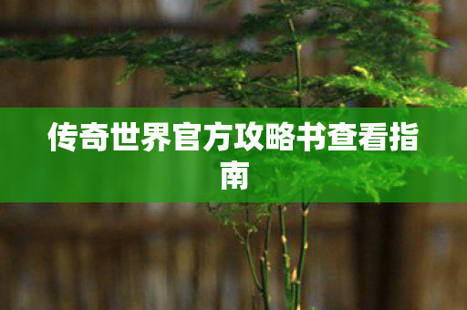 传奇世界官方攻略书查看指南图片