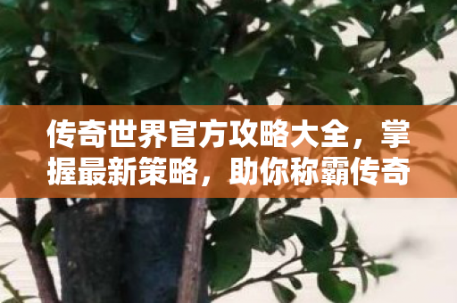 传奇世界官方攻略大全图片
