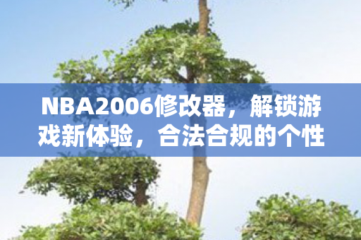 NBA2006修改器图片