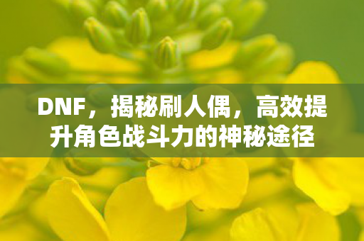高效提升角色战斗力的神秘途径图片