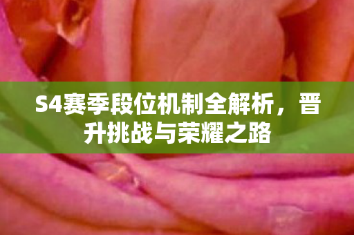 S4赛季段位机制全解析图片